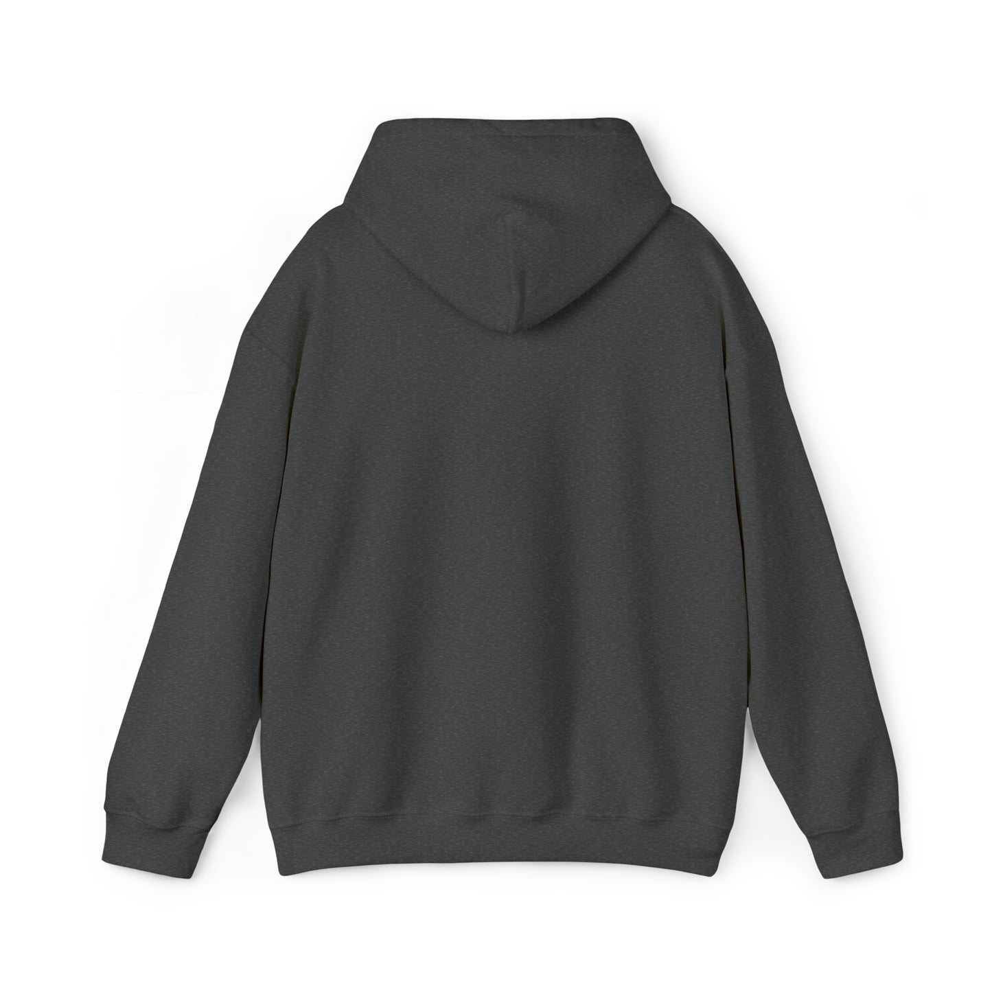 Hooded Sweatshirt | How I Feel When I Buy Gas and Groceries on the Same Day | Unisex